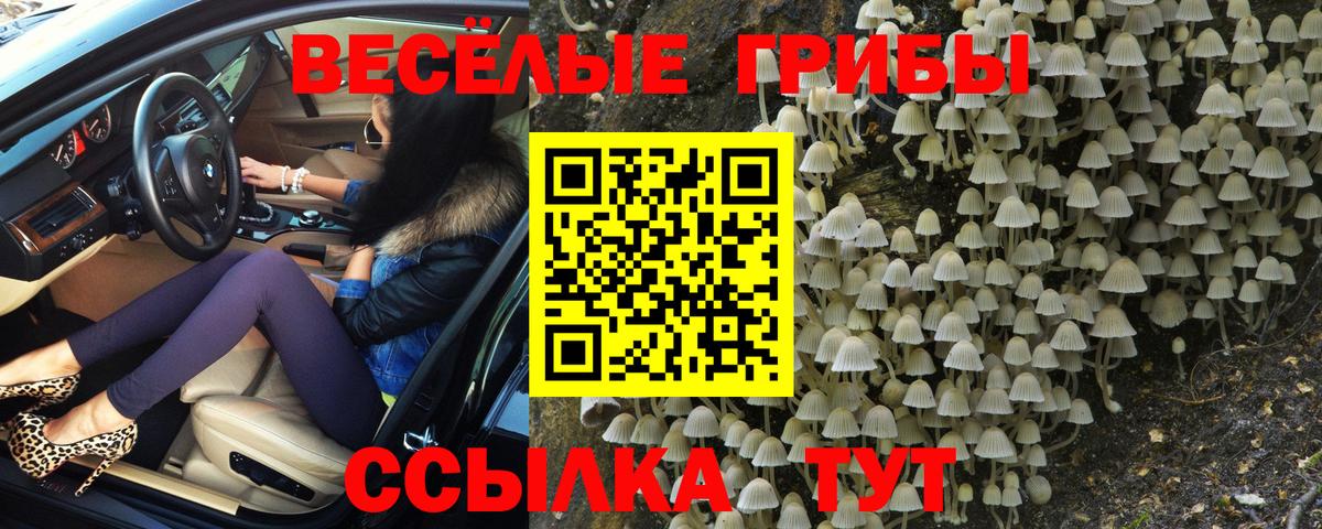 Галлюциногенные грибы мухоморы Заволжье