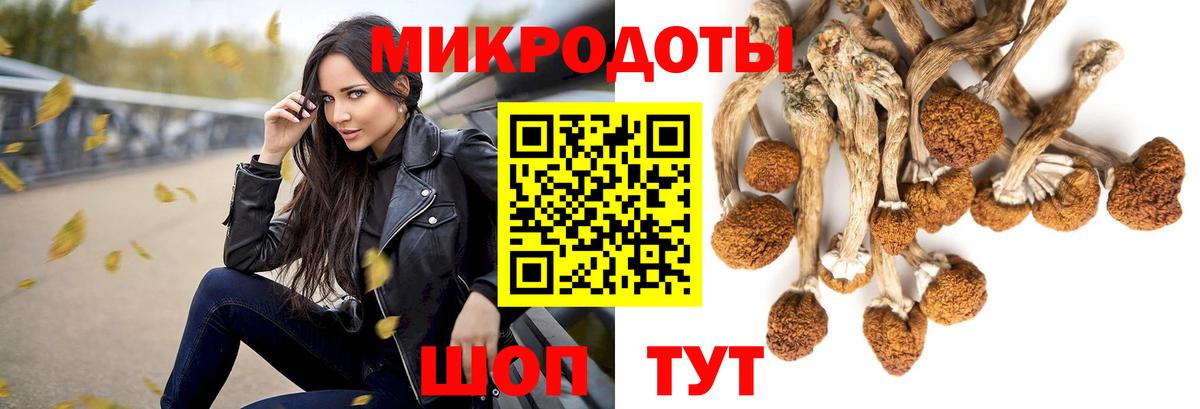 Заволжье  Галлюциногенные грибы ЛСД  что такое   Вход с VPN 